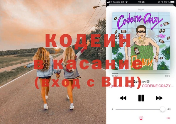 крисы Алексин