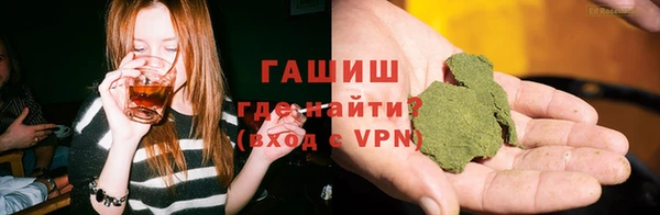 PSILOCYBIN Алзамай