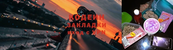 PSILOCYBIN Алзамай