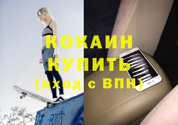 крисы Алексин