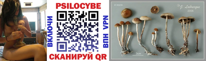 Галлюциногенные грибы GOLDEN TEACHER  магазин    Ливны 